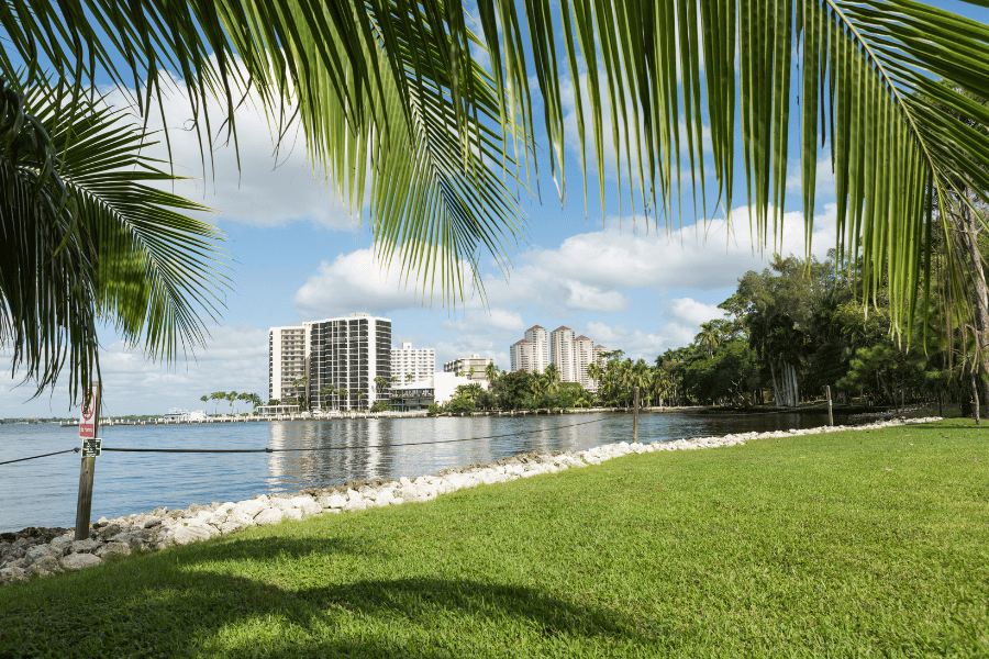 View from beach in Cape Coral on a sunny day with grass and palm fronds