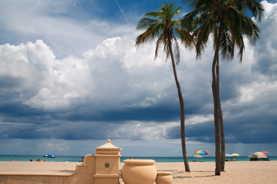 Palm trees and storm clouds on the beach in Hollywood, FL 