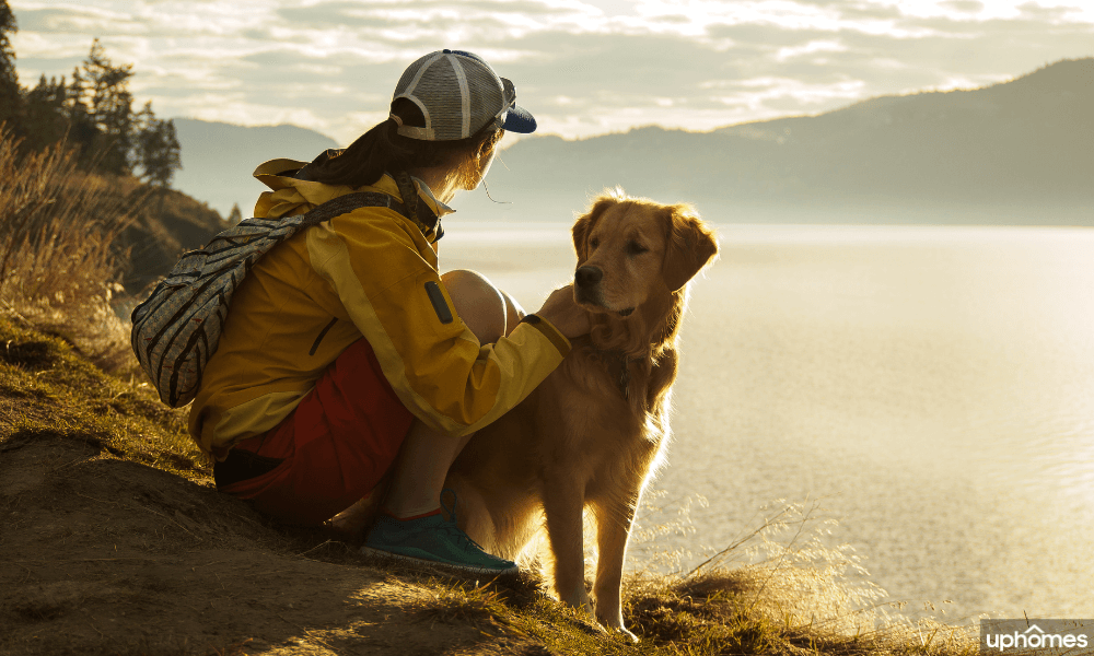 Staycation Idea - Try a new hiking trail with your dog, friends or family