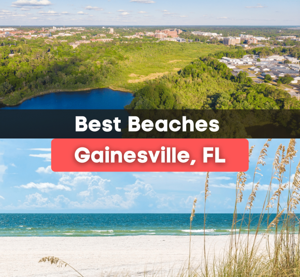 7 Best Beaches Near Gainesville, FL