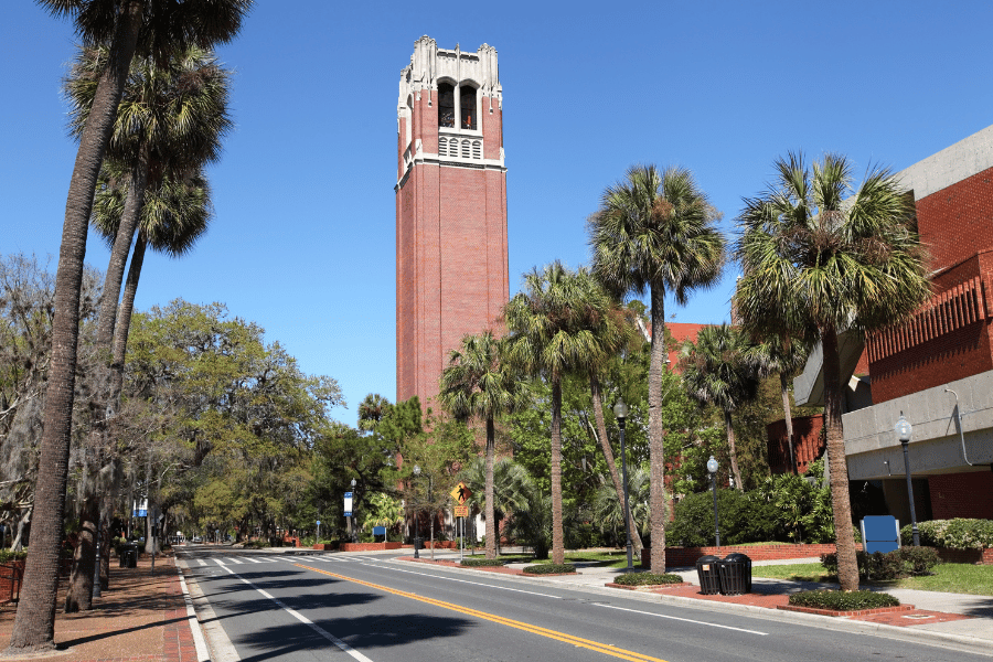 University of Florida clocktower on campus on a sunny day surrounded by palm trees